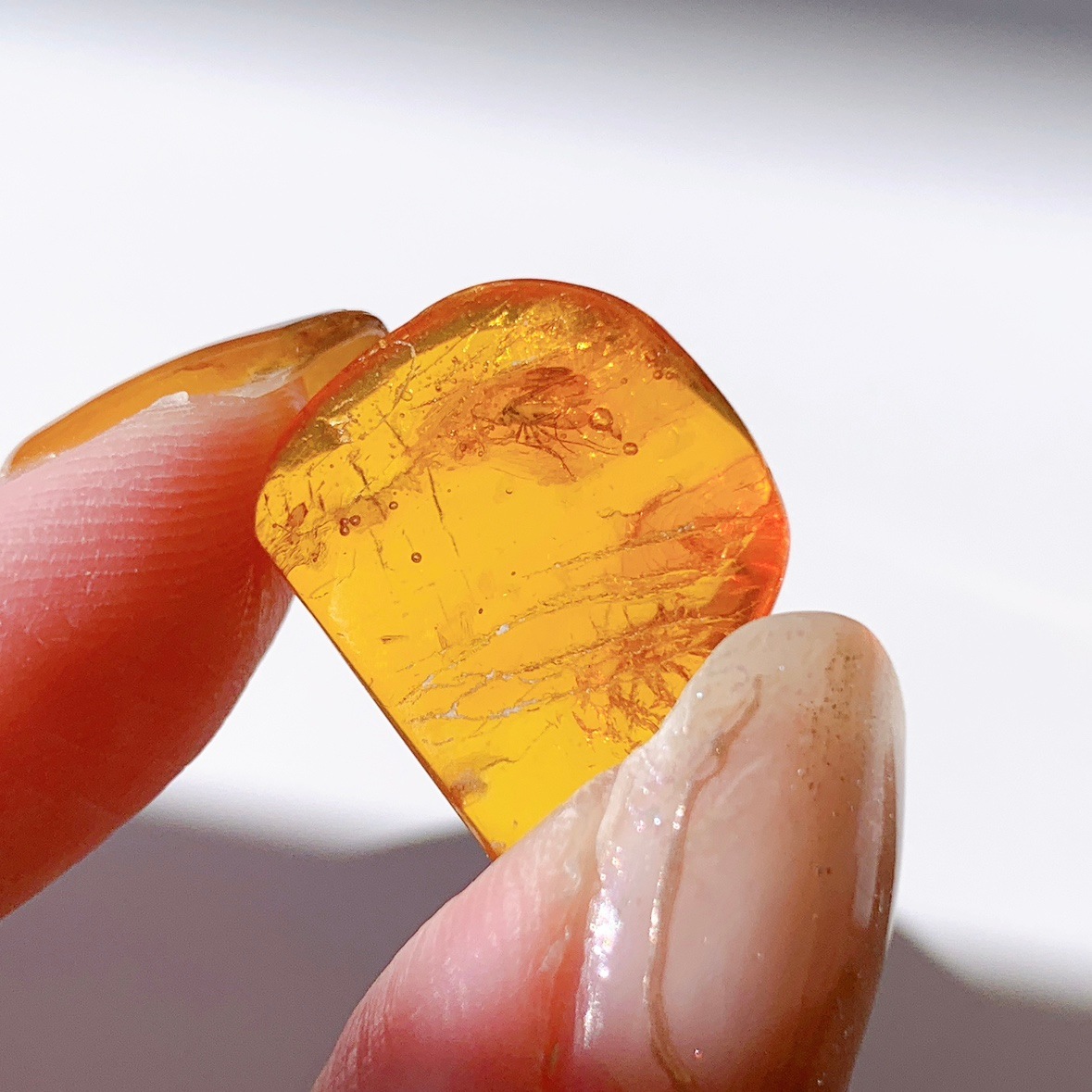 バルティックアンバー虫入り ポリッシュ