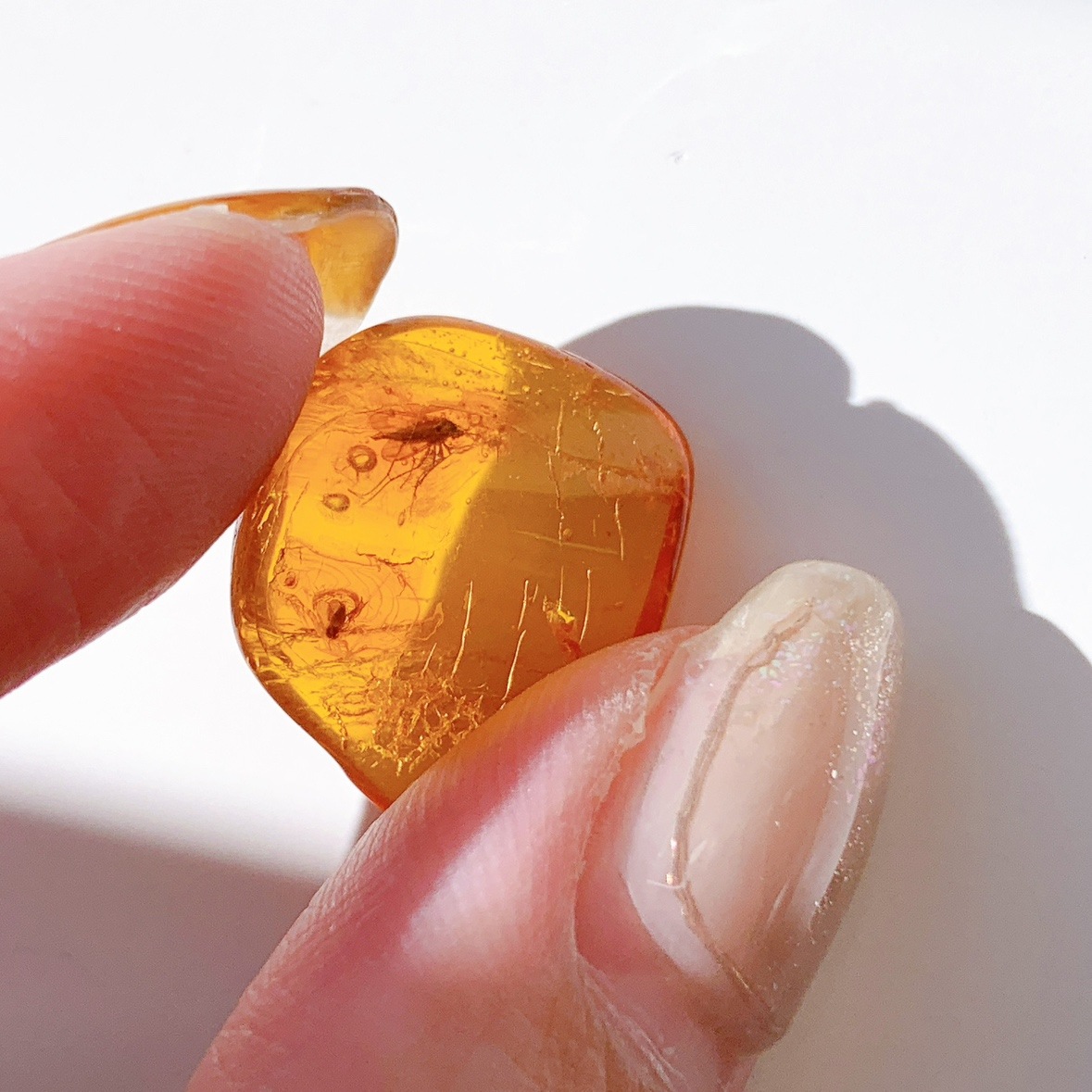 バルティックアンバー虫入り ポリッシュ