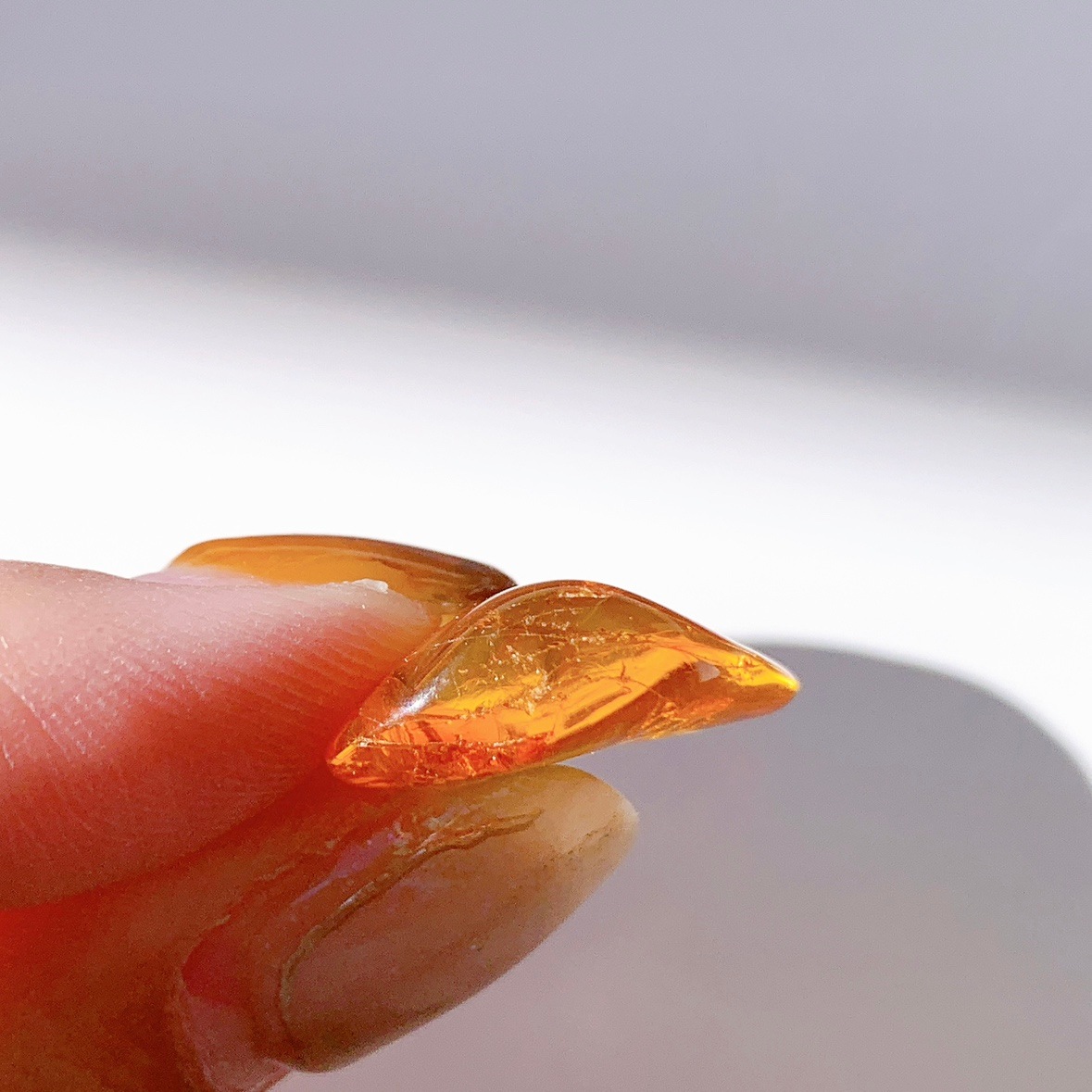 バルティックアンバー虫入り ポリッシュ