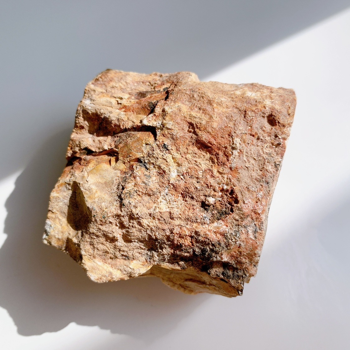 超〜特大 博物館級ペトリファイドウッド原石 唯一無二の美麗さ艶 珪化木 化石木 珪化木 ペトリファイドウッド 石になった木 愛知県犬山市産 145g