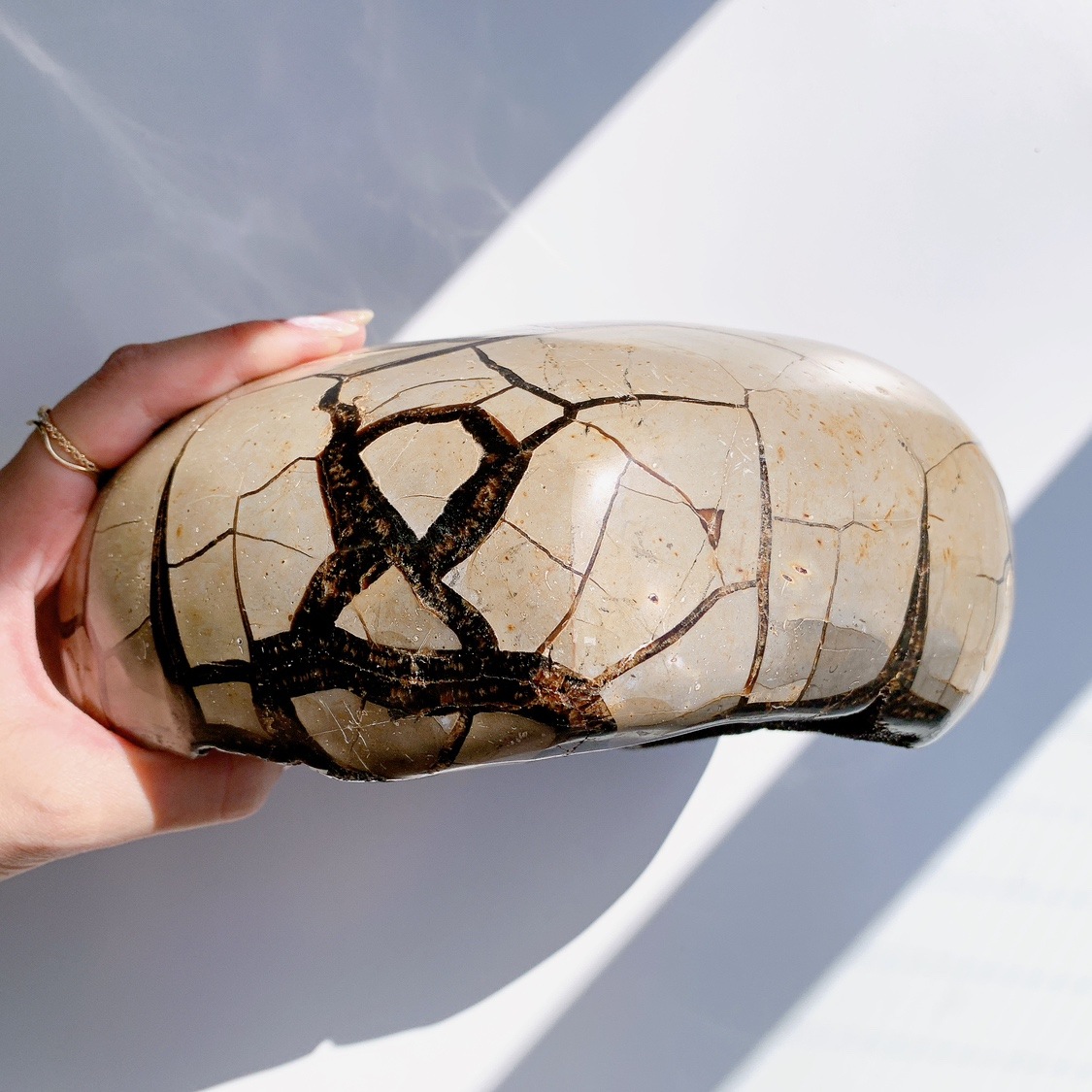 セプタリアン ハート型 特大 | ハート型 | Crystals by Purely