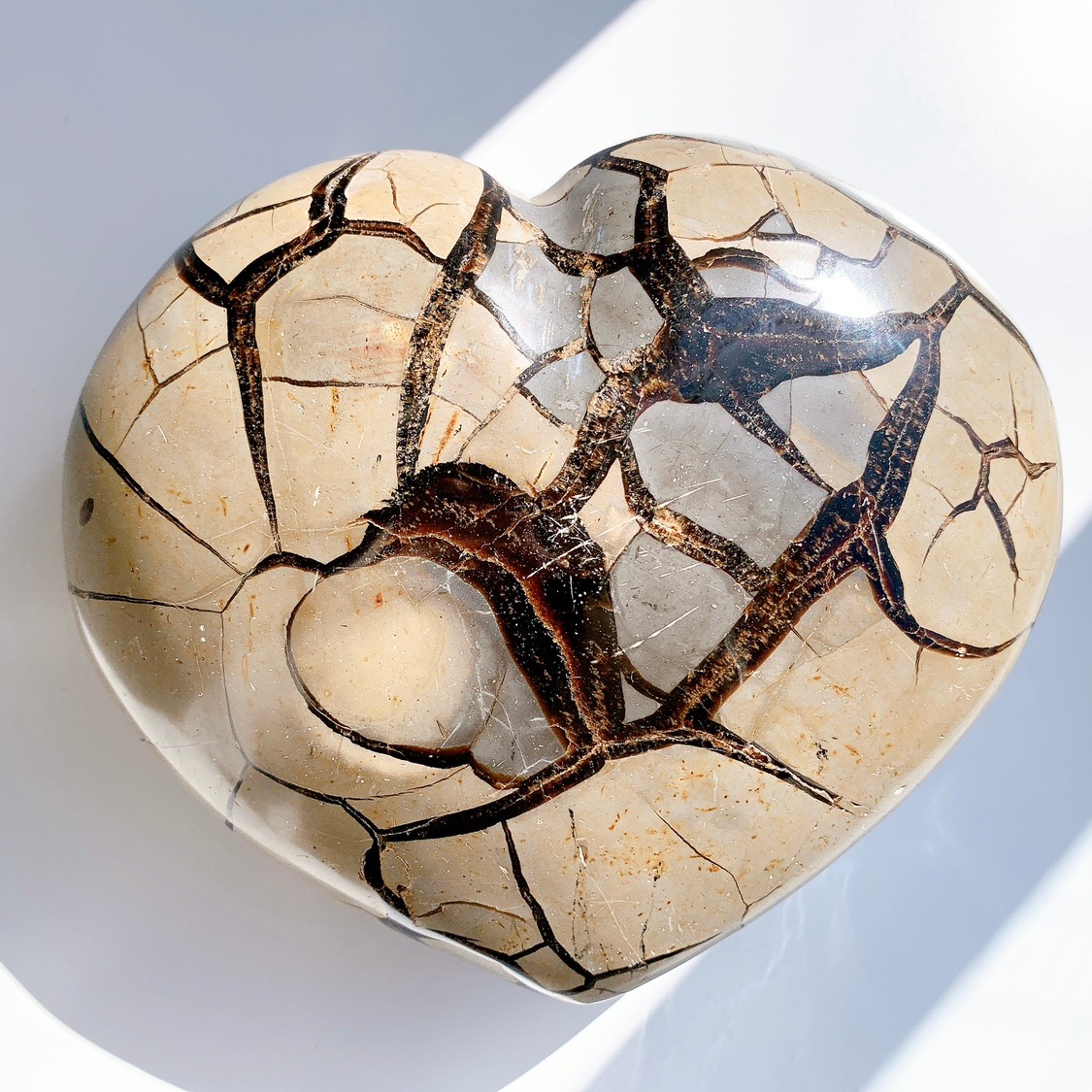 セプタリアン ハート型 特大 | ハート型 | Crystals by Purely