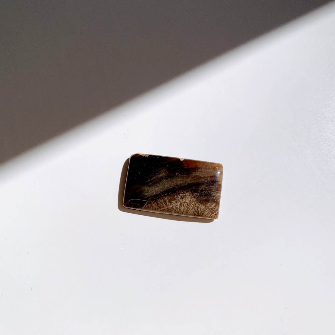 ペトリファイドウッド ルース | ルース | Crystals by Purely