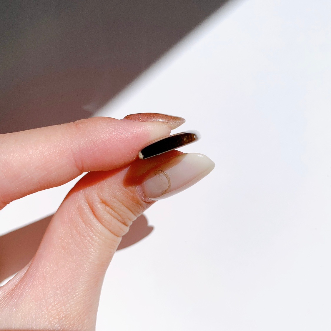 ペトリファイドウッド ルース | ルース | Crystals by Purely