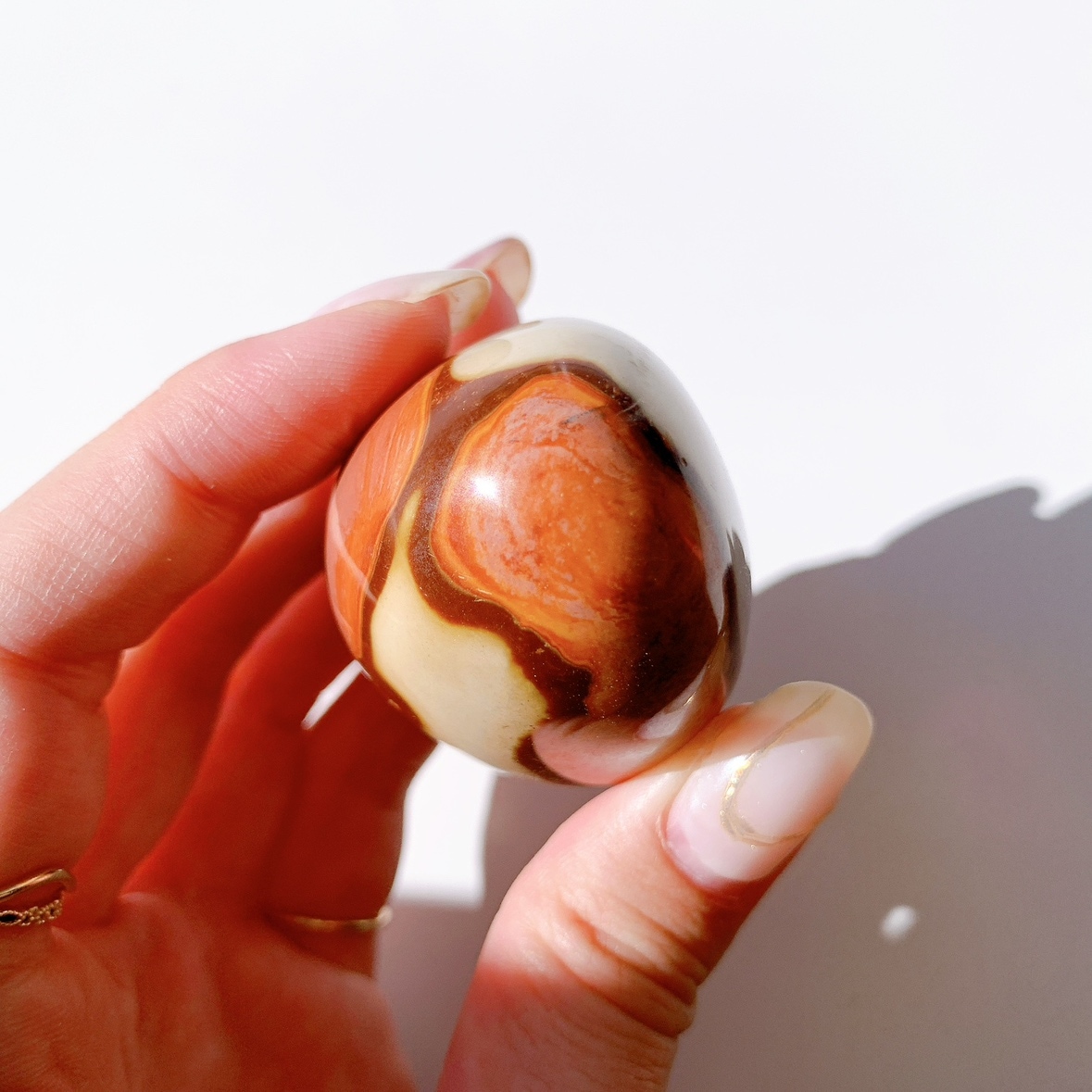 目の有るような握り石と亀甲石計３個、管理No.60403 目の有るような握り石と亀甲石計3個、管理No.60403 【公式通販】