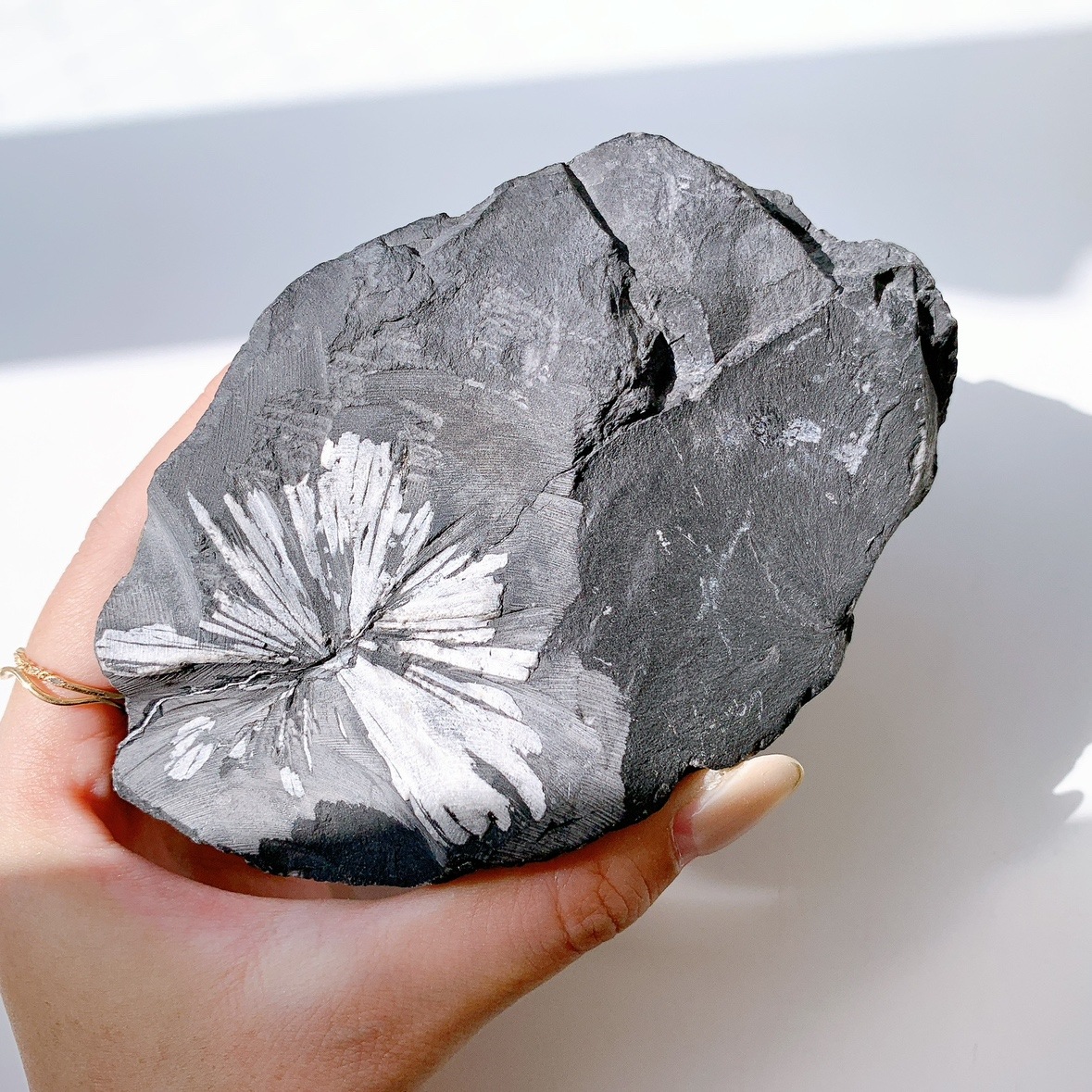 菊花石　chrysanthemum stone 菊花石 Chrysanthemum Stone | 叙景 jokei