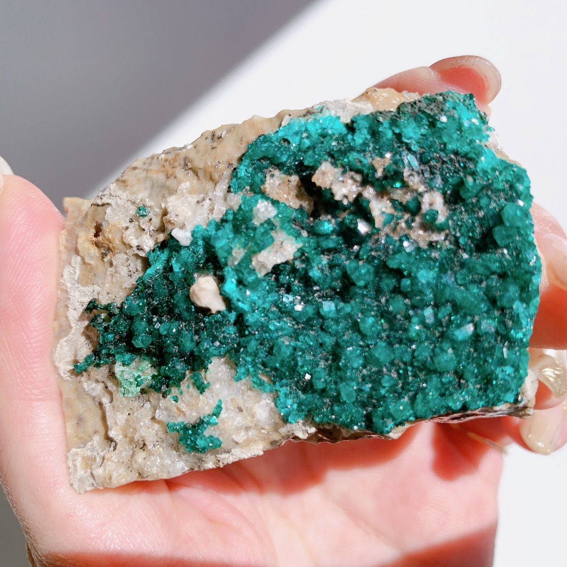 ダイオプテーズ 原石 | 原石 | Crystals by Purely