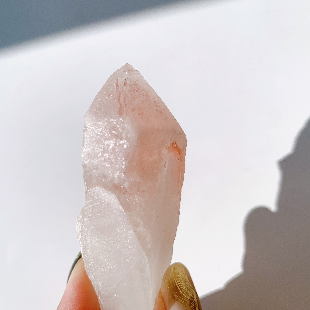 ピンクレムリアン ドリームシクル