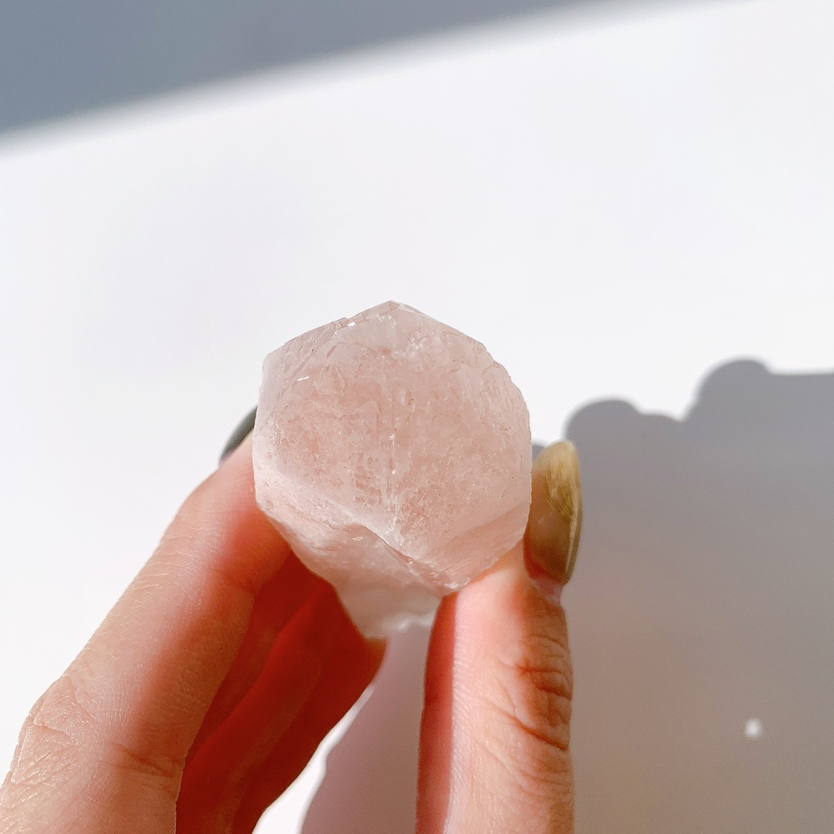 ピンクレムリアン ドリームシクル