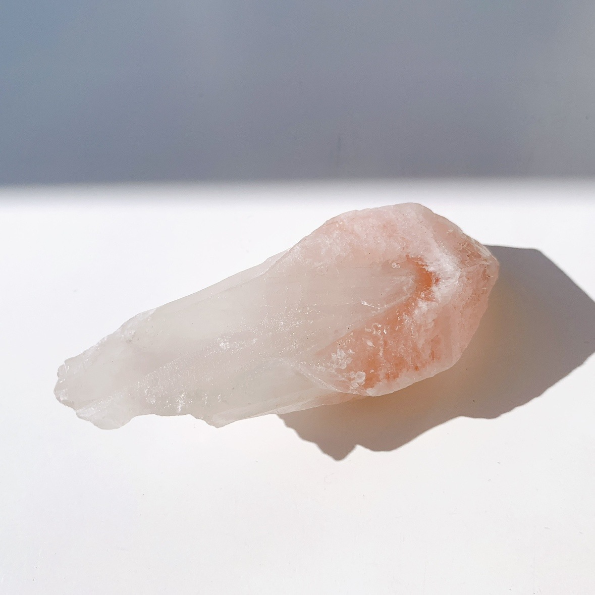 ピンクレムリアン ドリームシクル