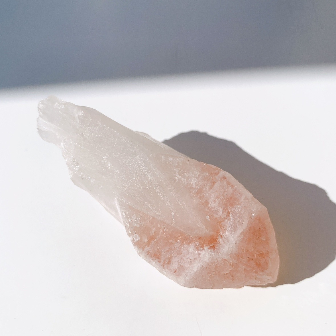 ピンクレムリアン ドリームシクル