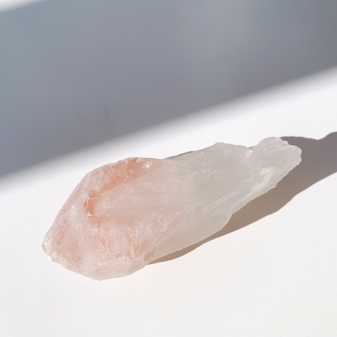 ピンクレムリアン ドリームシクル