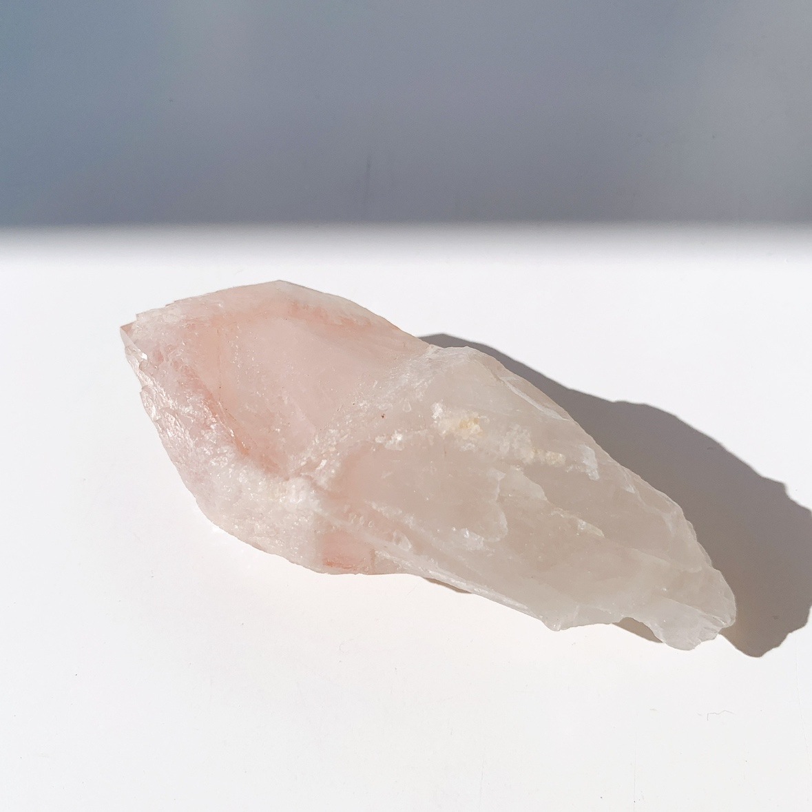 ピンクレムリアン ドリームシクル