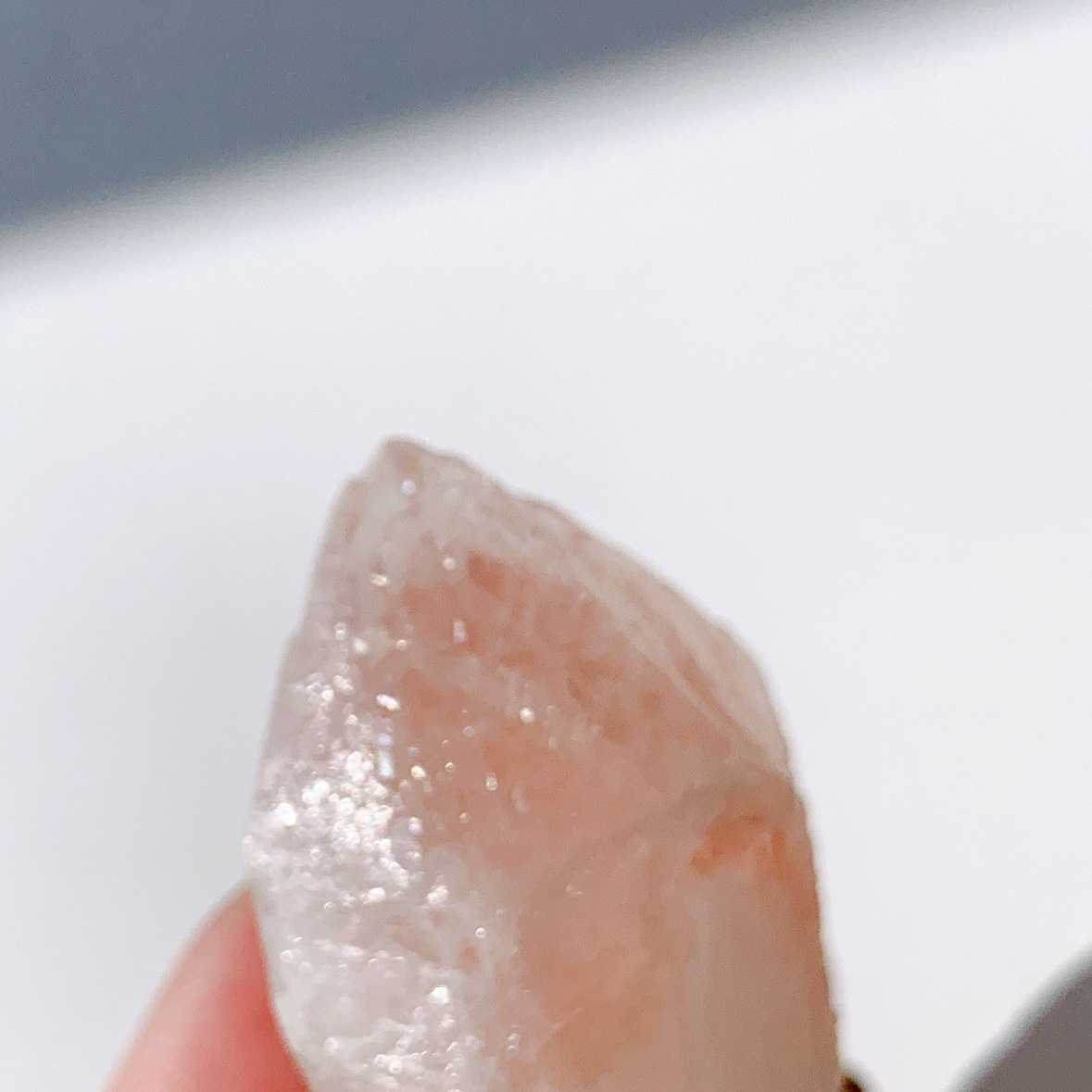 ピンクレムリアン ドリームシクル