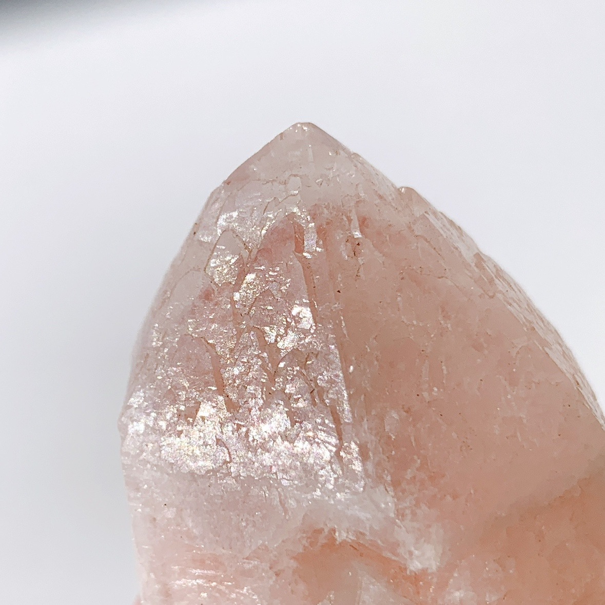 ピンクレムリアン ドリームシクル