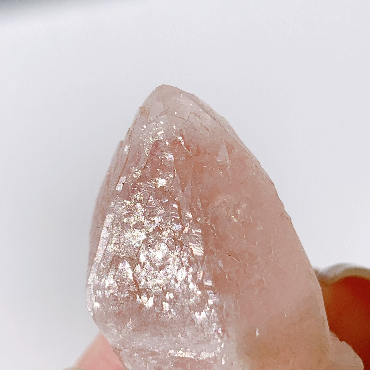 ピンクレムリアン ドリームシクル