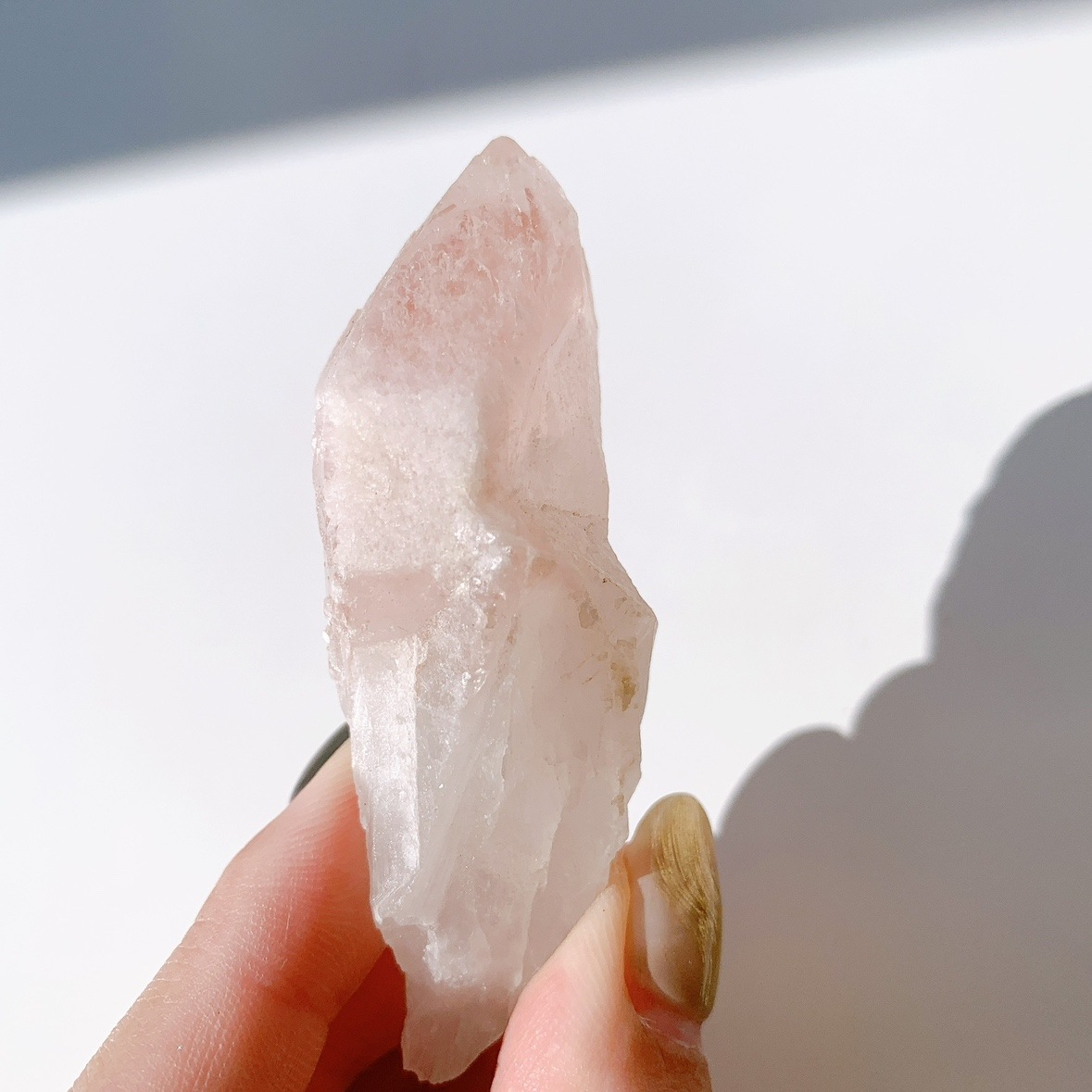 ピンクレムリアン ドリームシクル