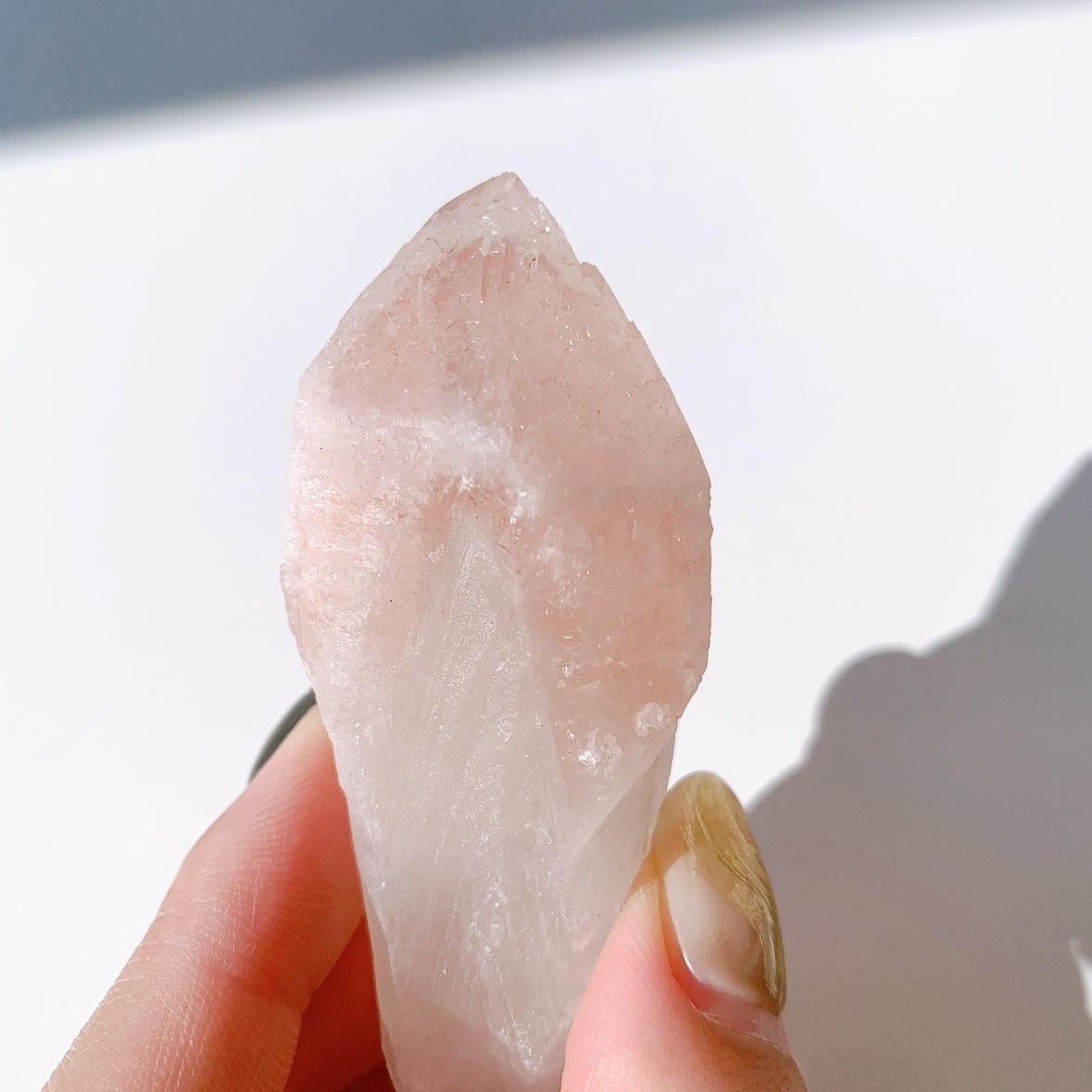 ピンクレムリアン ドリームシクル