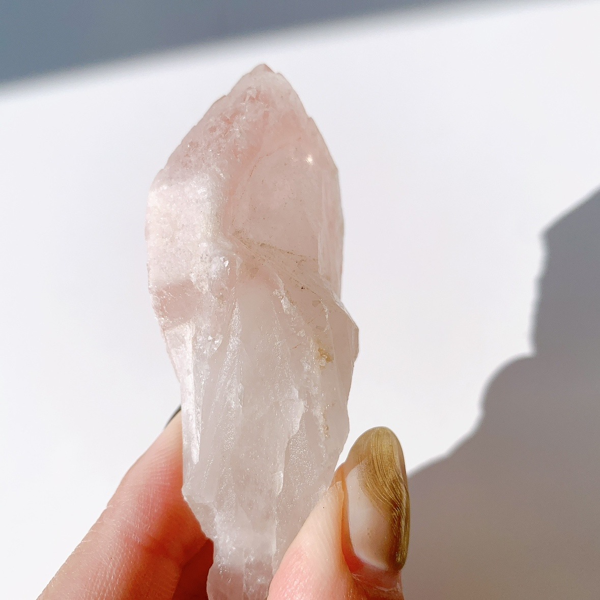 ピンクレムリアン ドリームシクル