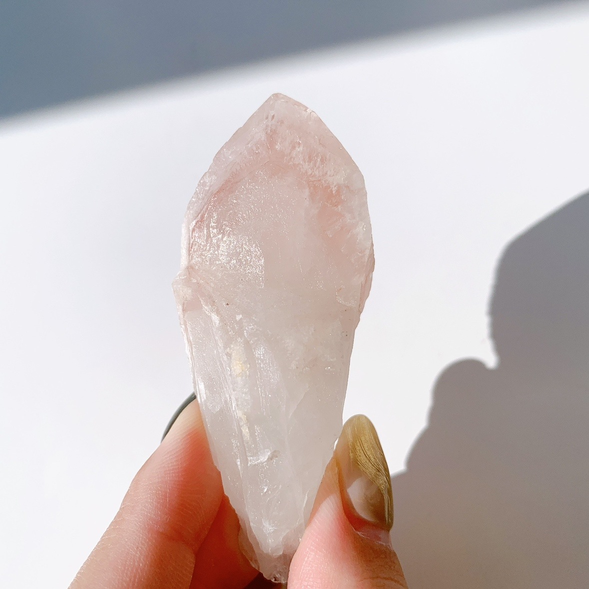 ピンクレムリアン ドリームシクル