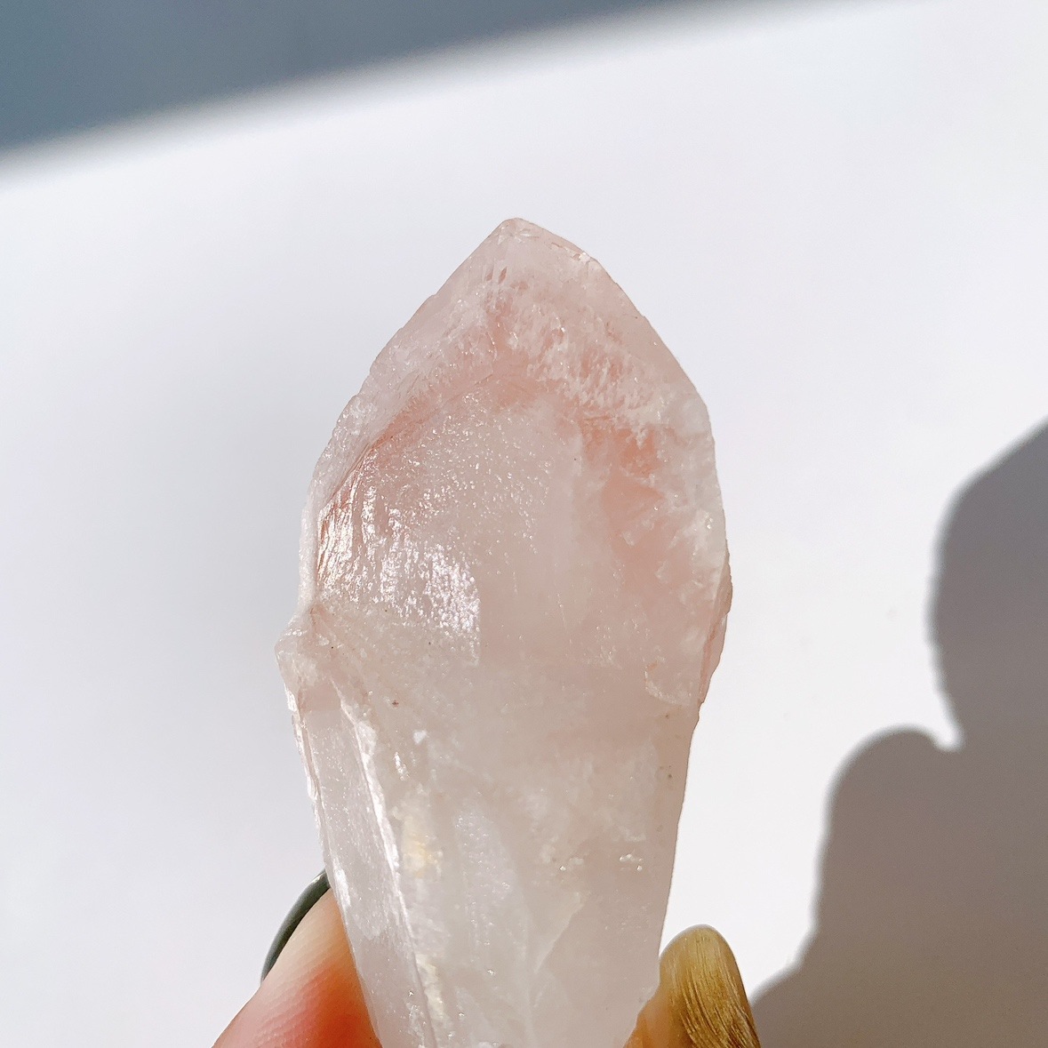 ピンクレムリアン ドリームシクル