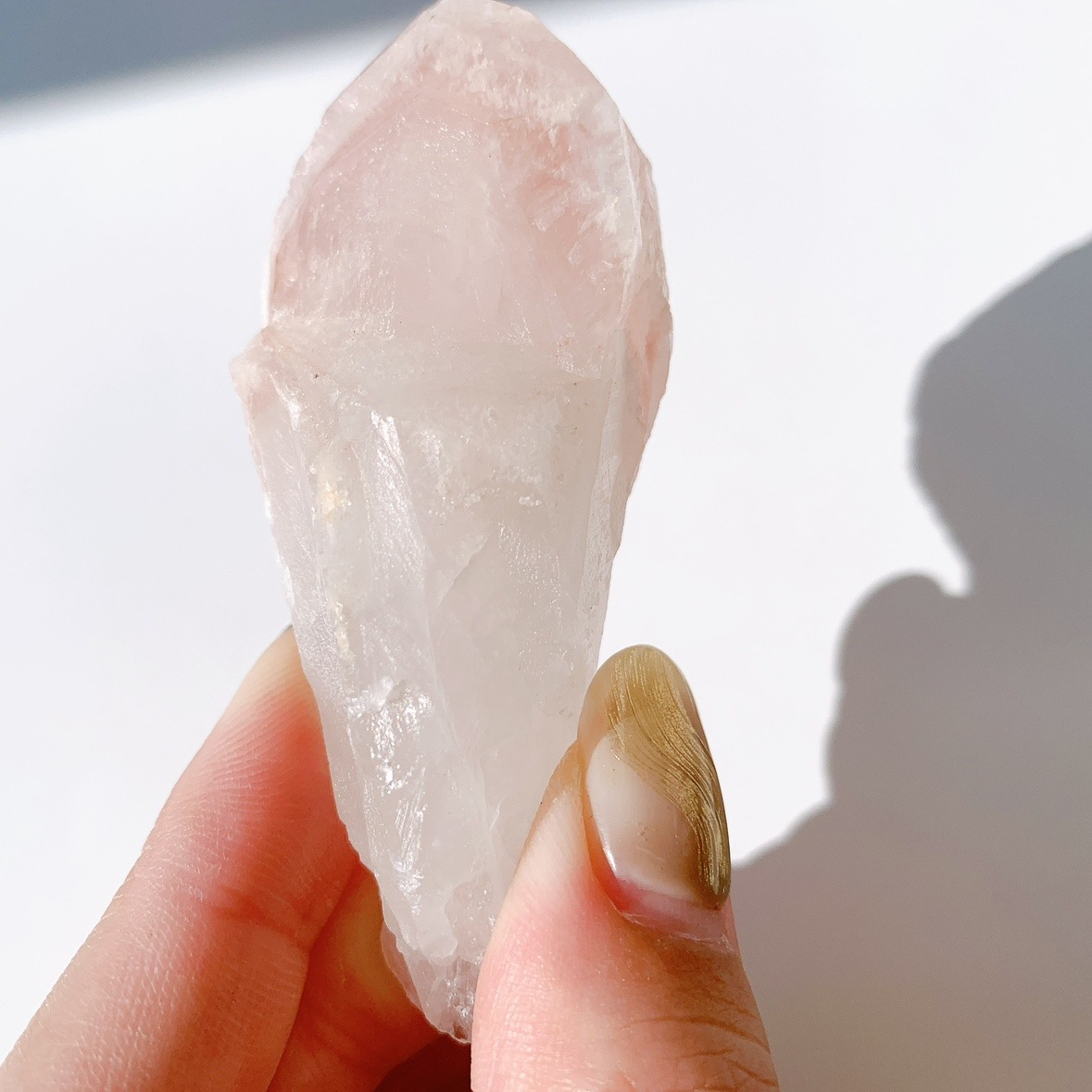 ピンクレムリアン ドリームシクル