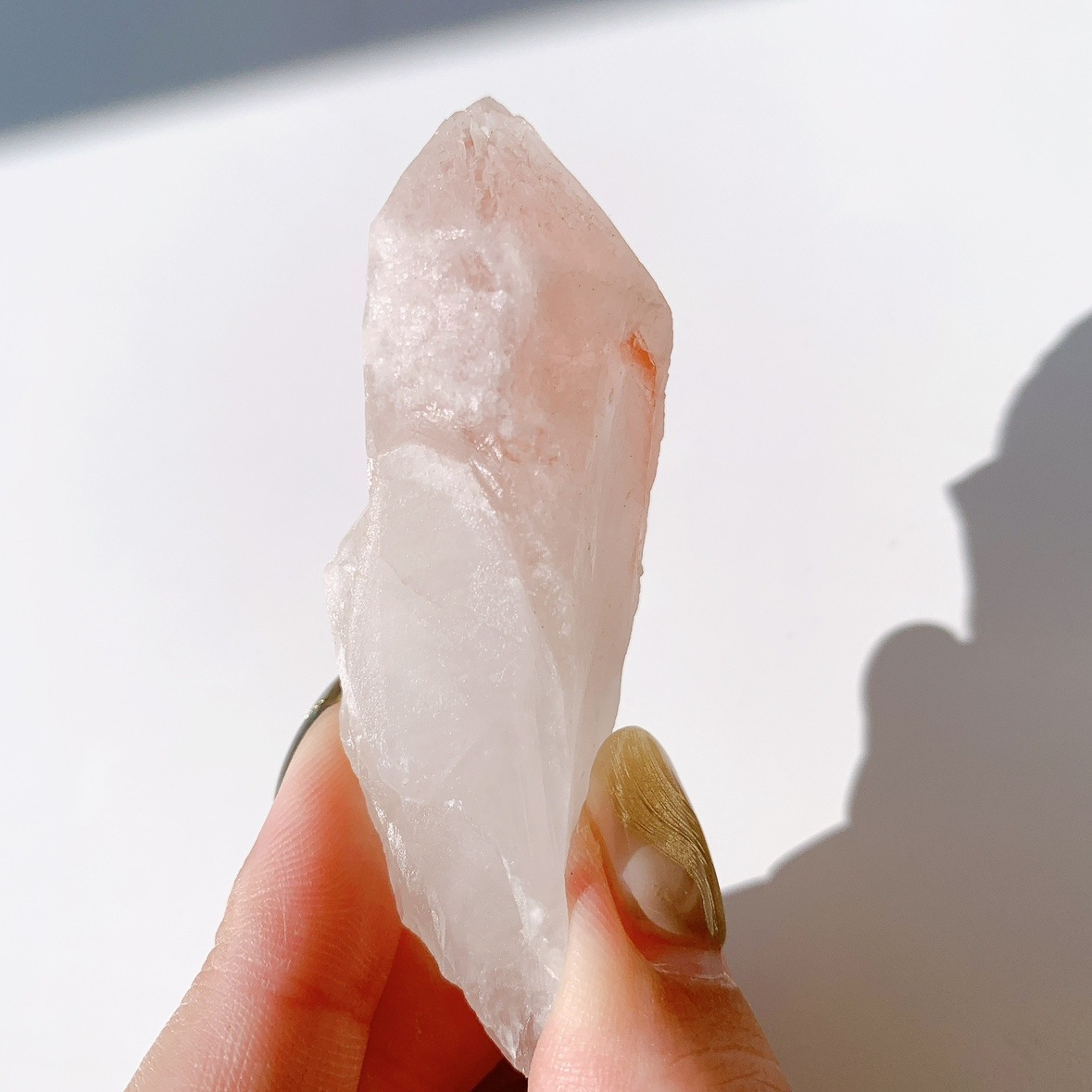 ピンクレムリアン ドリームシクル