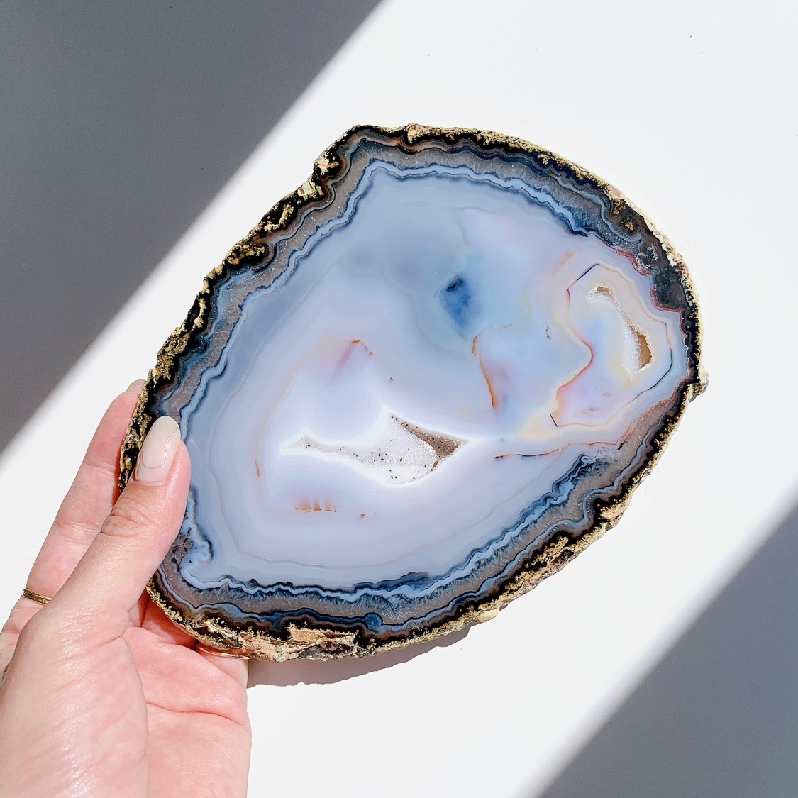 アゲート プレート大