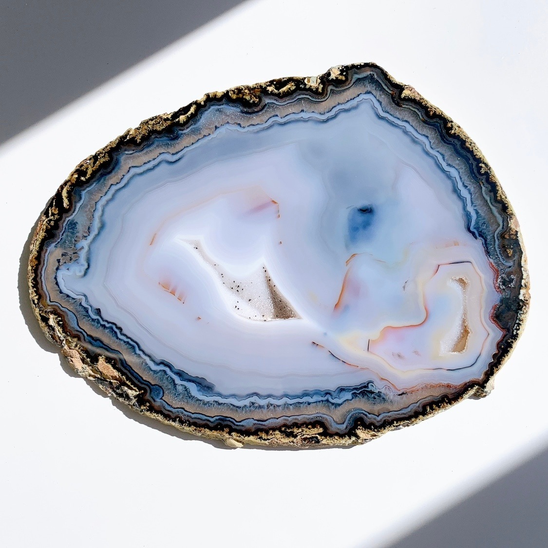 アゲート プレート大