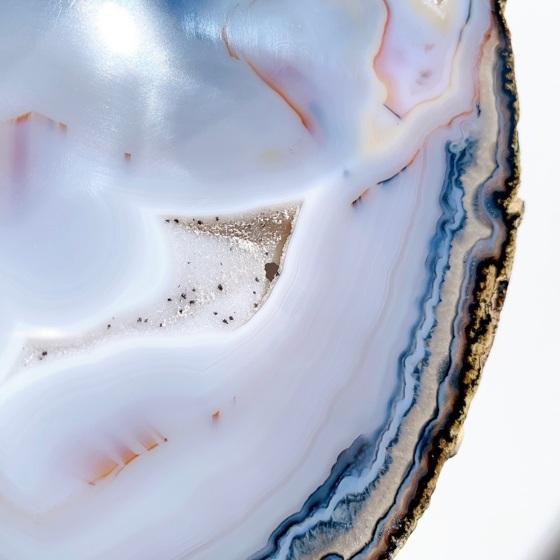 アゲート プレート大