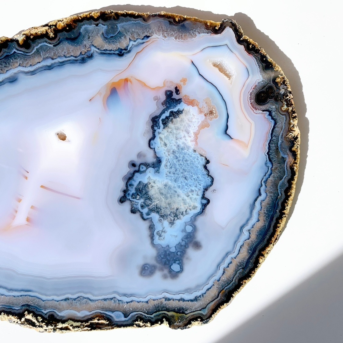 アゲート プレート大