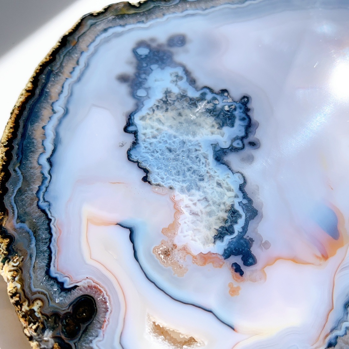 アゲート プレート大