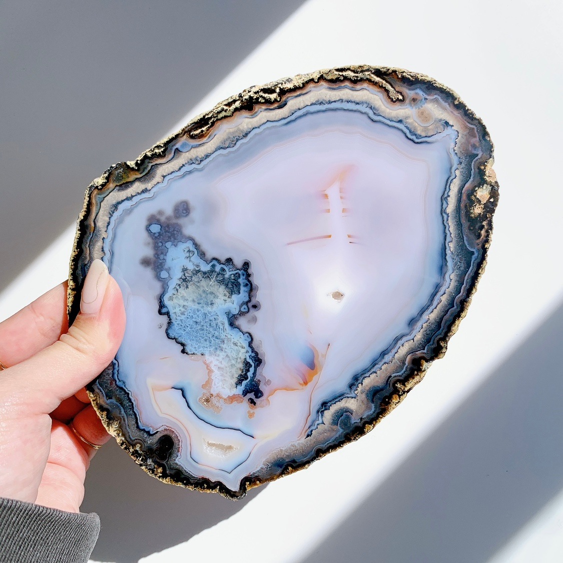 アゲート プレート大