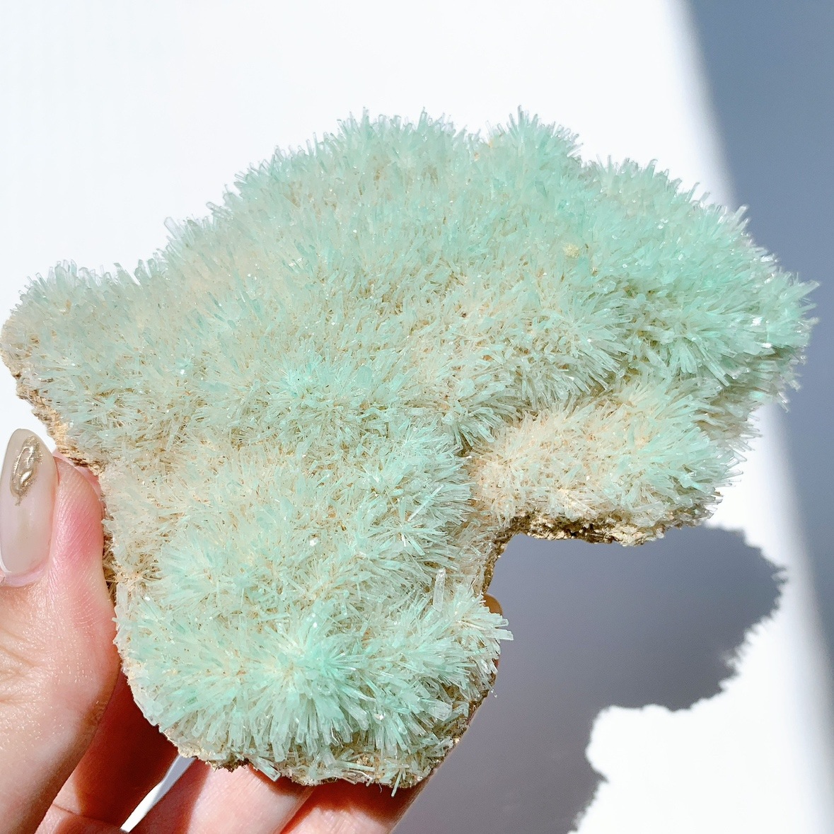 ジプサム 原石 | 原石 | Crystals by Purely