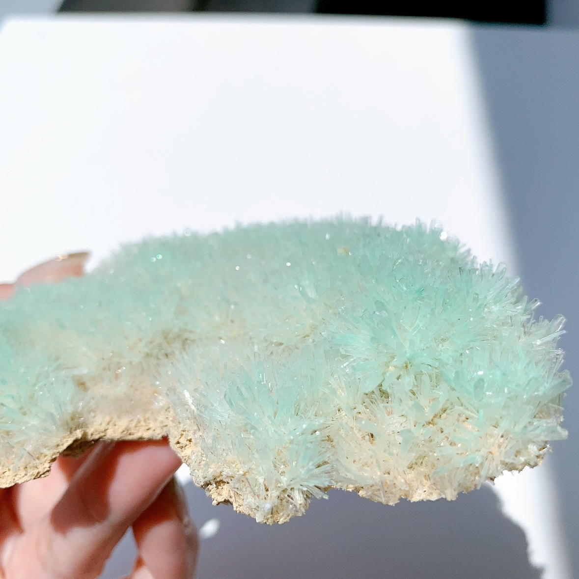 40g　ジプサム　世界に一つだけの結晶野郎ジプサム　鉱物標本　美品 40gジプサム世界に一つだけの結晶野郎ジプサム鉱物標本美品