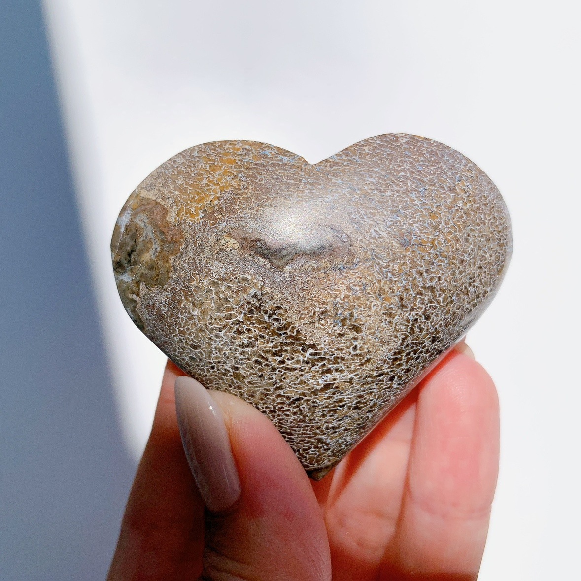恐竜骨化石 ハート型 | ハート型 | Crystals by Purely