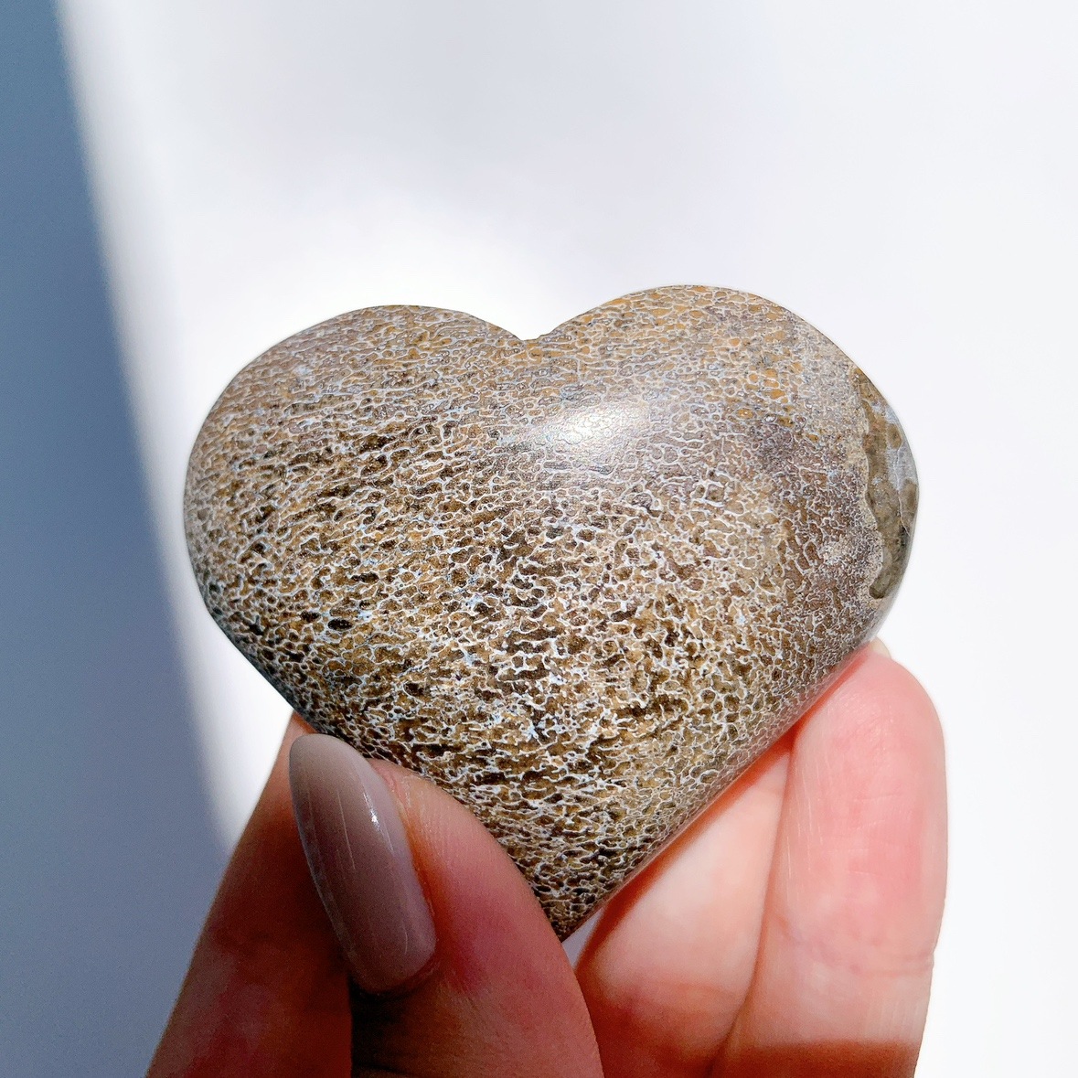 恐竜骨化石 ハート型 | ハート型 | Crystals by Purely