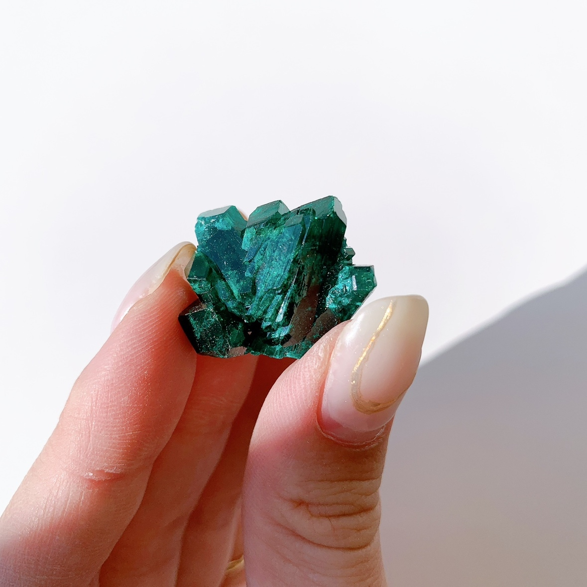 ダイオプテ―ゼ 原石 ダイオプテーズ 原石 | 原石 | Crystals by Purely