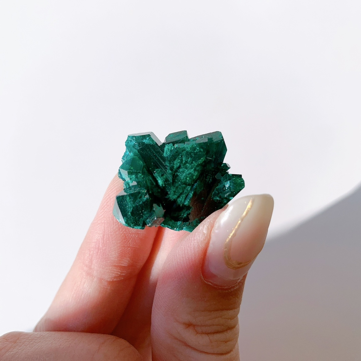 ダイオプテーズ 原石 | 原石 | Crystals by Purely