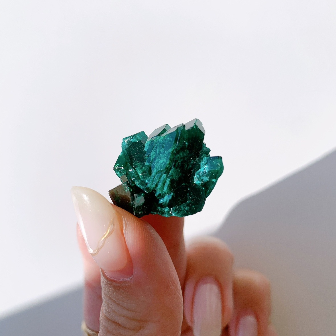 ダイオプテーズ 原石 | 原石 | Crystals by Purely