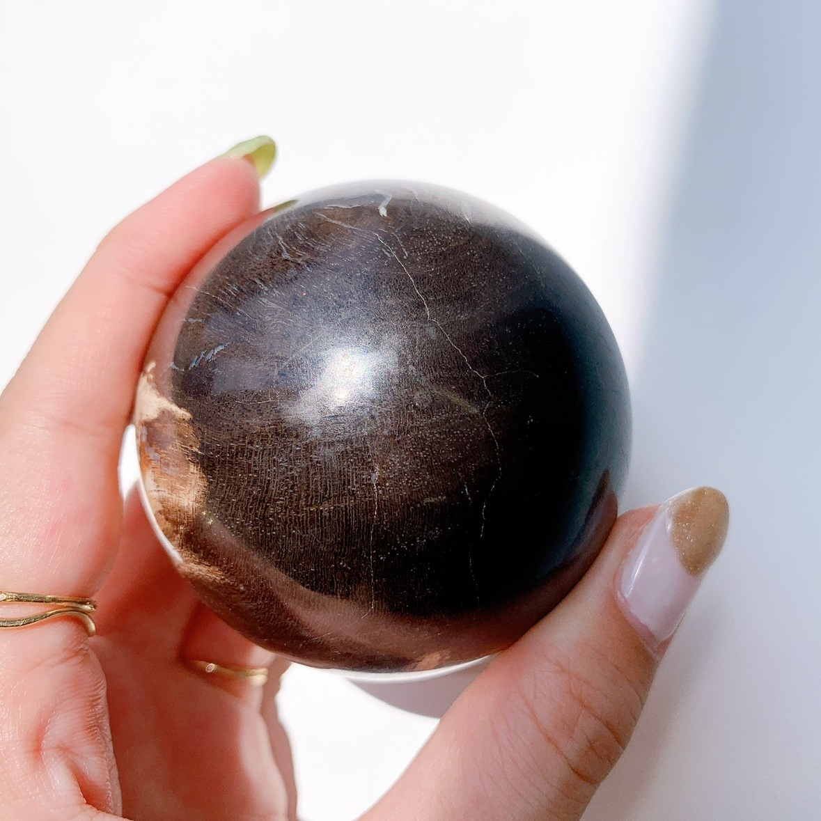 ペトリファイドウッド 丸玉 | スフィア（丸玉） | Crystals by Purely