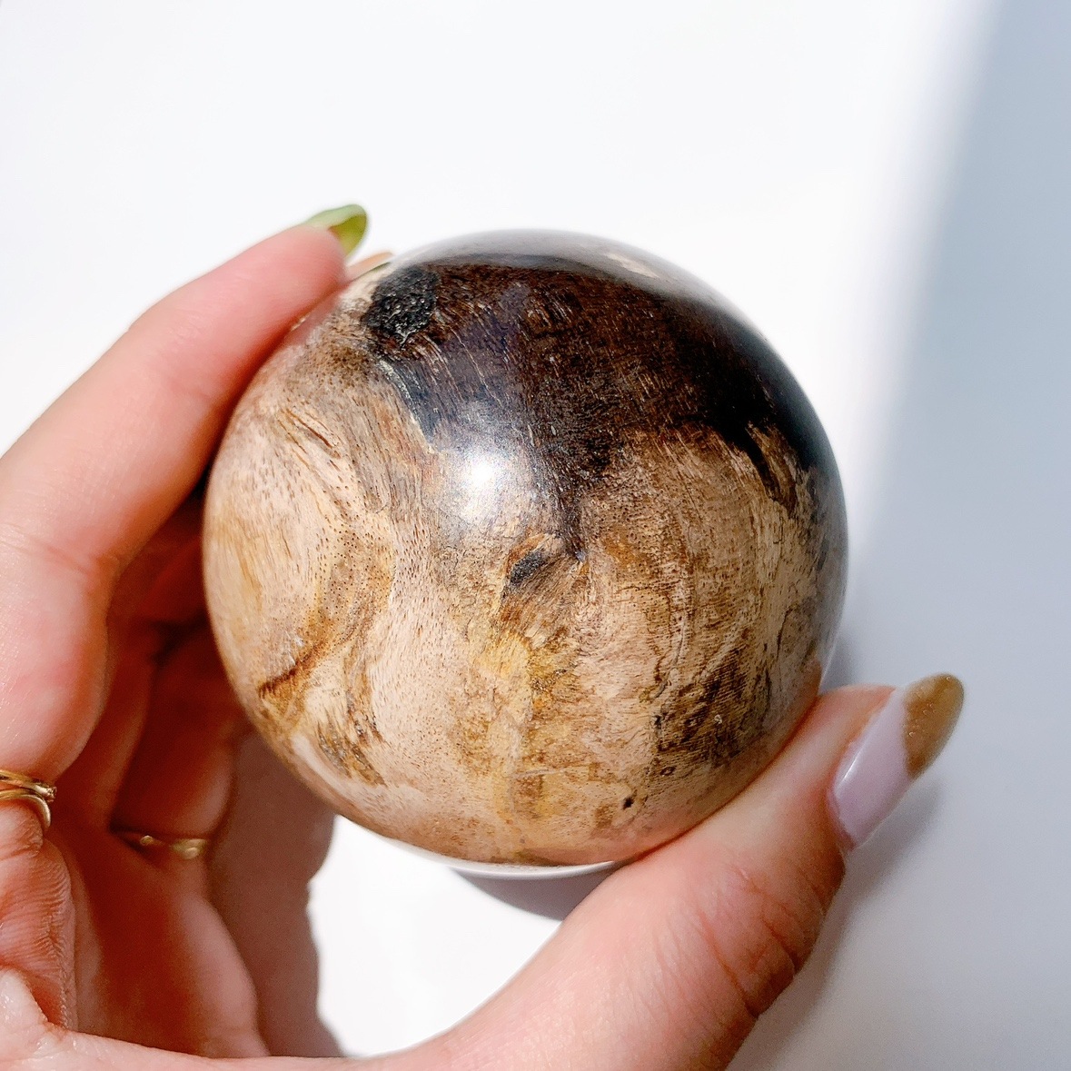 ペトリファイドウッド 丸玉 | スフィア（丸玉） | Crystals by
