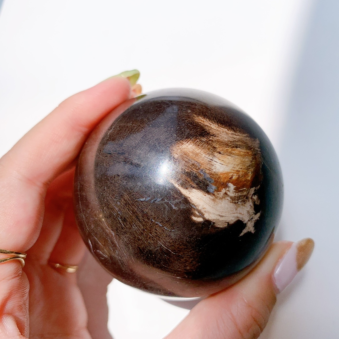 ペトリファイドウッド 丸玉 | スフィア（丸玉） | Crystals by Purely