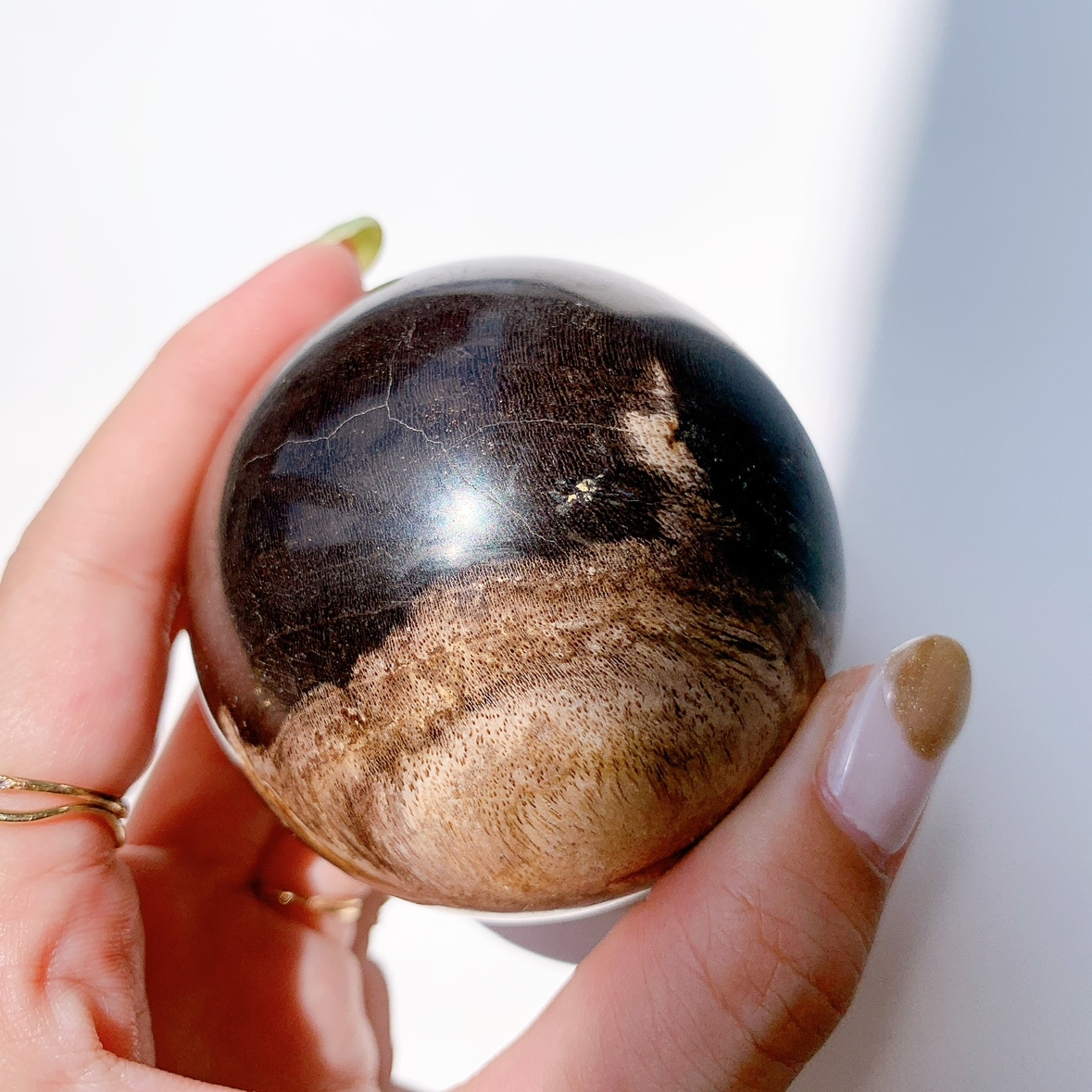 ペトリファイドウッド 丸玉 | スフィア（丸玉） | Crystals by Purely