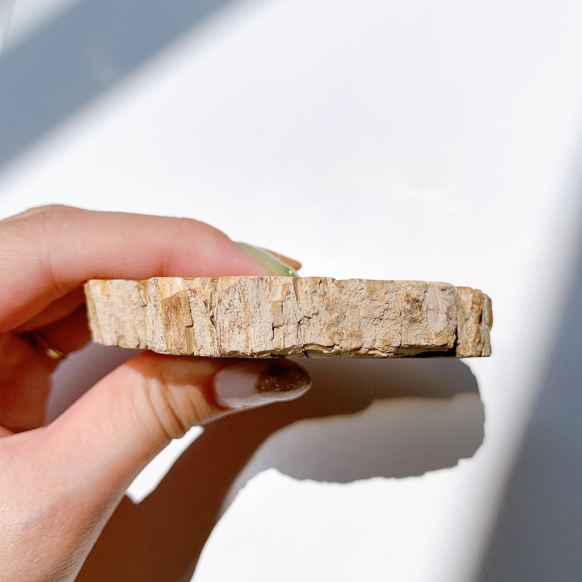 ペトリファイドウッド プレート