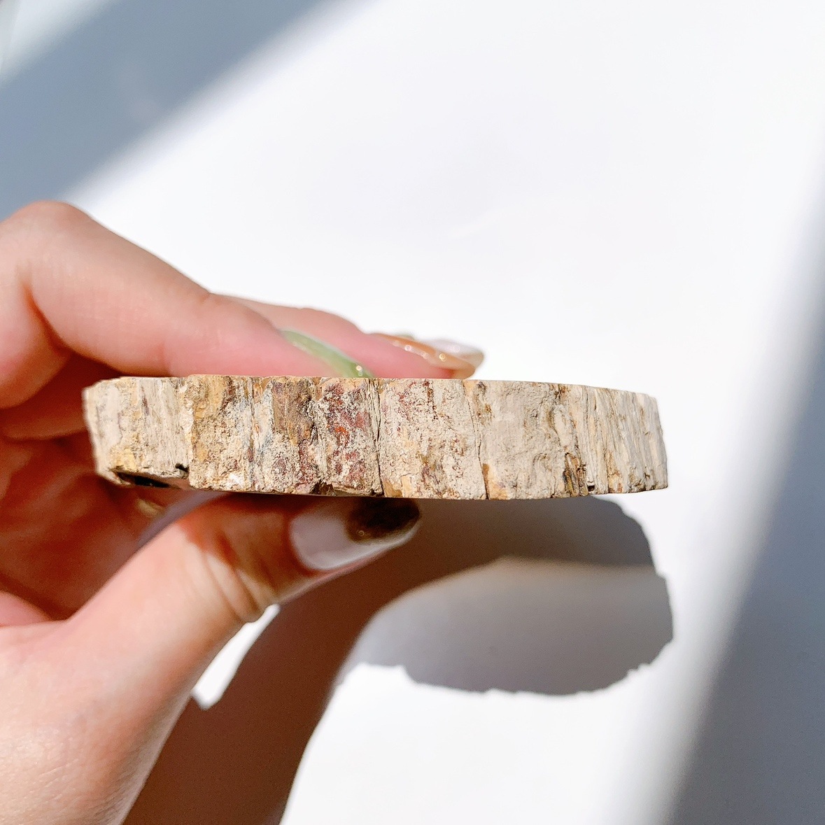 ペトリファイドウッド プレート