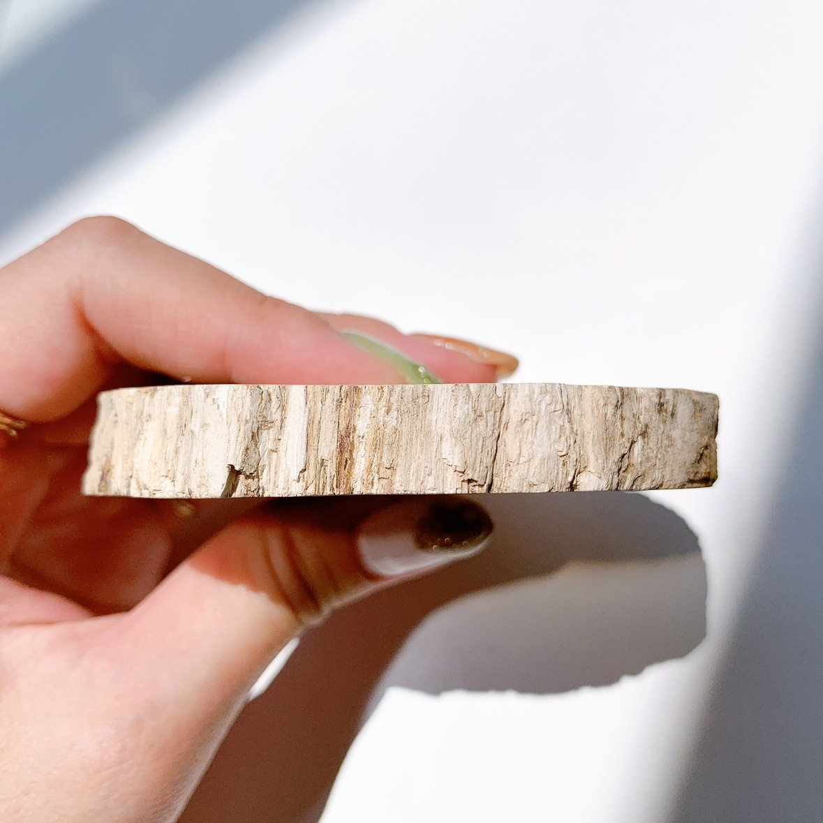 ペトリファイドウッド プレート