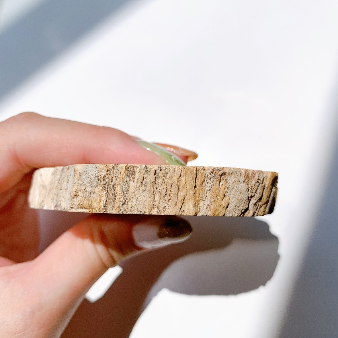 ペトリファイドウッド プレート