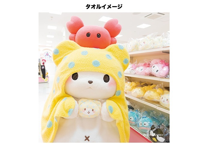 1_000000000420.jpg?1707792605