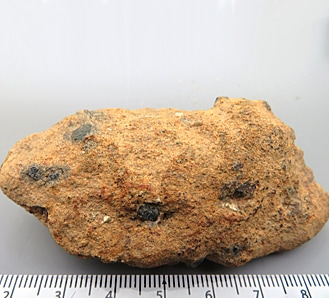 コランダム(サファイア) 岩手県興田産 結晶 珍しい産地 瑞浪鉱物展示館